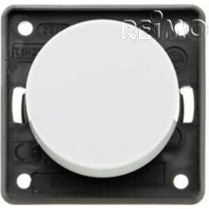 Berker (R) 230V 10A Keinukytkin Mattakromi