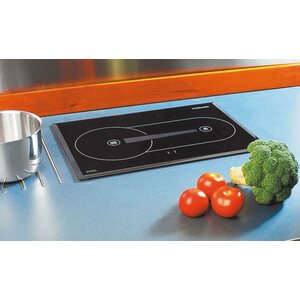 Webasto Keraaminen Diesel-liesi 46x31 cm